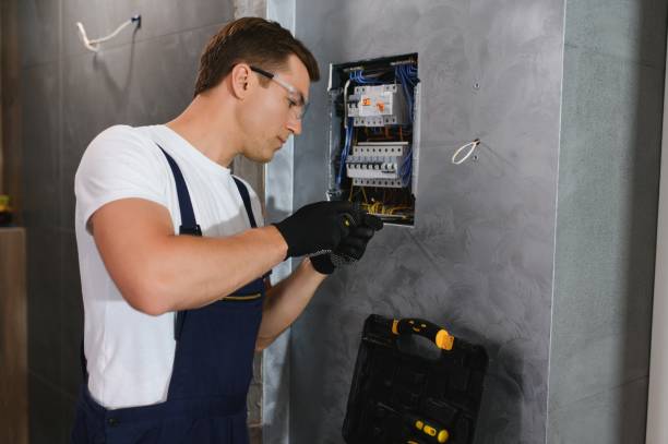 Best Electric Panel Repair  in Raoul, GA